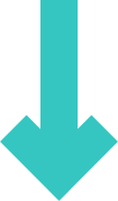 Vector